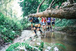 BIB: 
                            <button type="button" onclick="openModal(25464681)" class="btn btn-primary btn-sm float-right btn-popup" data-toggle="modal" data-target=".modal-high-quality">
                        <i class="fas fa-shopping-cart"></i> Add to Cart
                    </button>
                                            <button type="button" onclick="isThisMe(25464681, true)" class="btn btn-success btn-sm float-right btn-popup btn-isme hidden" data-toggle="tooltip" data-placement="bottom" title="นี่คือรูปของคุณใช่ไหม คลิกที่นี่เพื่อเอาเข้าอัลบั้ม">
                        <i class="fas fa-plus"></i> Add to album
                    </button>
                    <button type="button" onclick="isThisMe(25464681, false)" class="btn btn-warning btn-sm float-right btn-popup btn-isnotme hidden">
                        <i class="fas fa-ban"></i> Remove from album
                    </button>